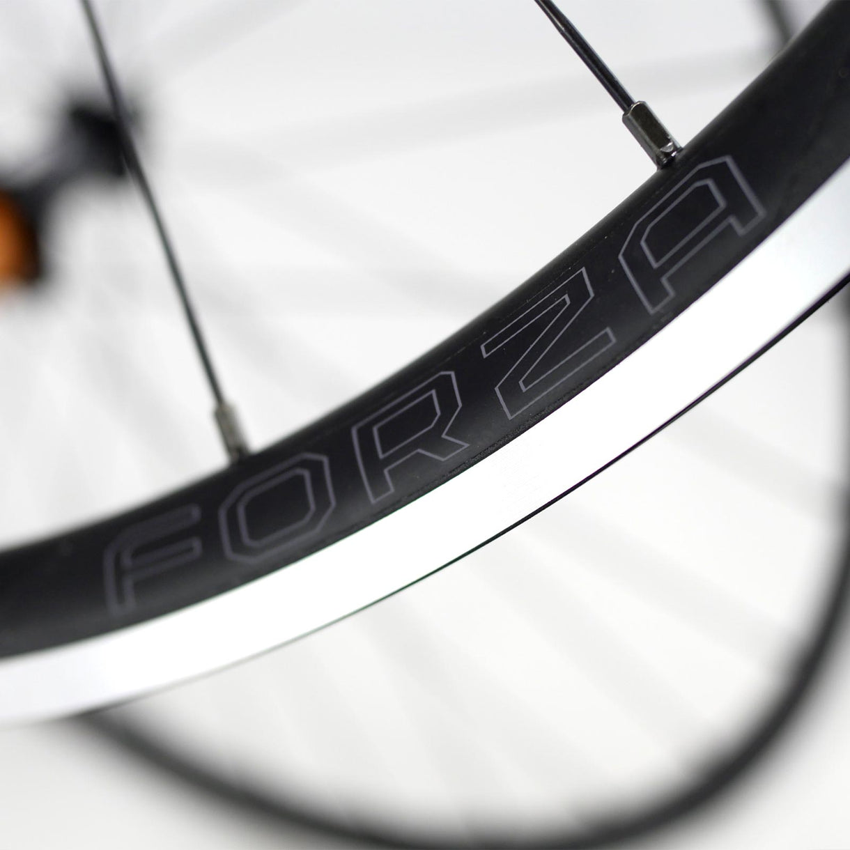 Forza Rim Designs Circle Rings Forza Rim Brake Wheelset 700c – Pacenti Cycle Design
